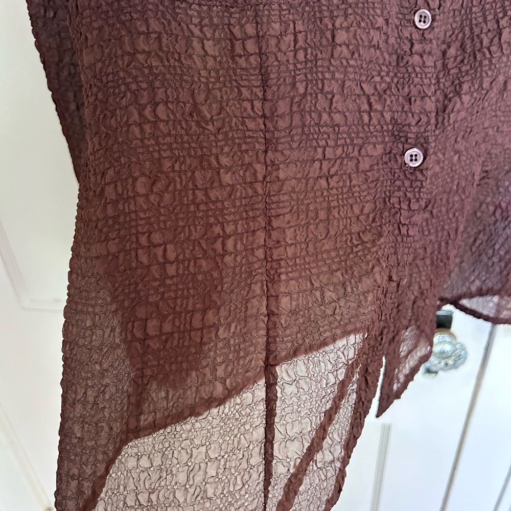 Sheer Button up - Picture 5 of 6